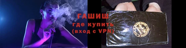 прущие грибы Коряжма