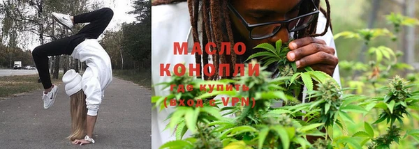 прущие грибы Коряжма