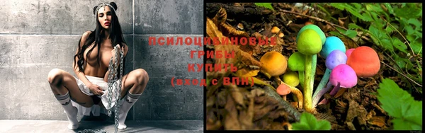 сатива Кинешма