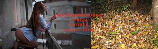 каннабис Козловка