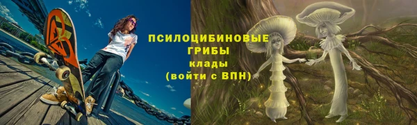 прущие грибы Коряжма