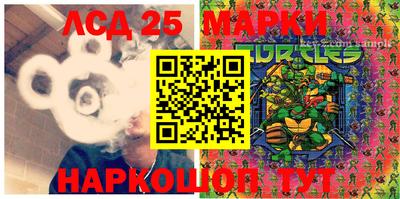 PSILOCYBIN Вышний Волочёк