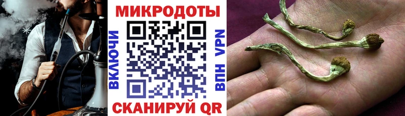 Псилоцибиновые грибы прущие грибы Красноперекопск